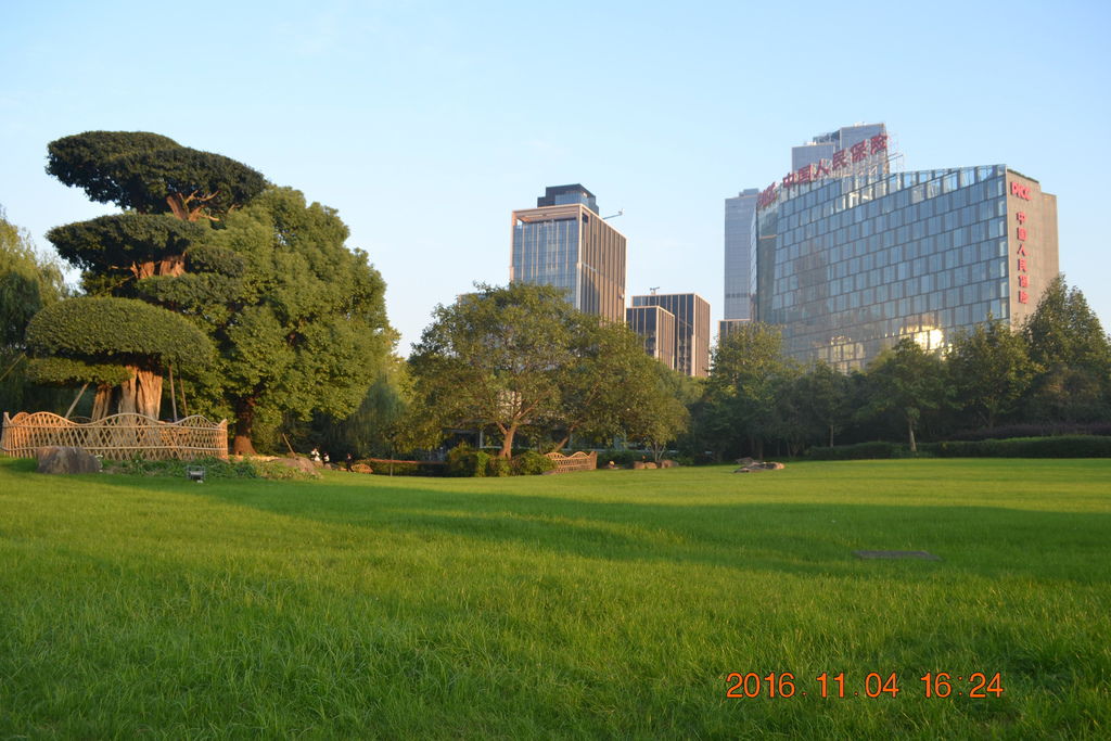 DSC_0209 DSC_0209