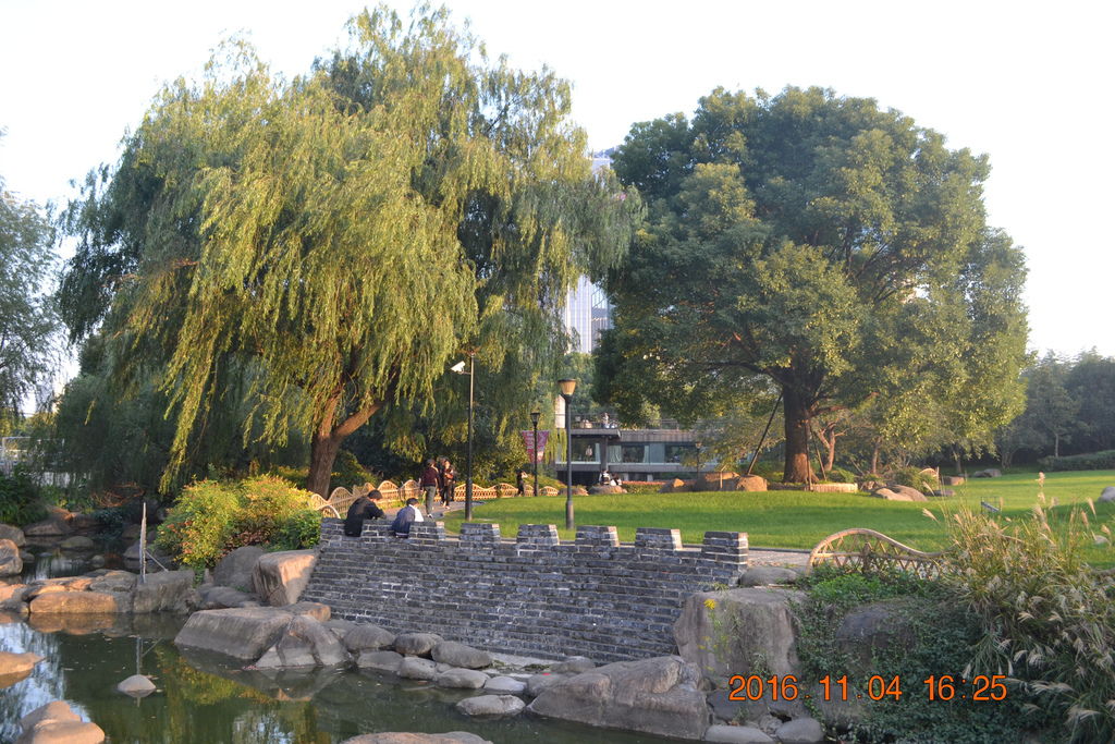 DSC_0211 DSC_0211