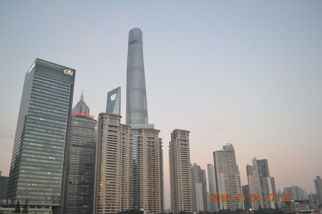 DSC_0239 DSC_0239