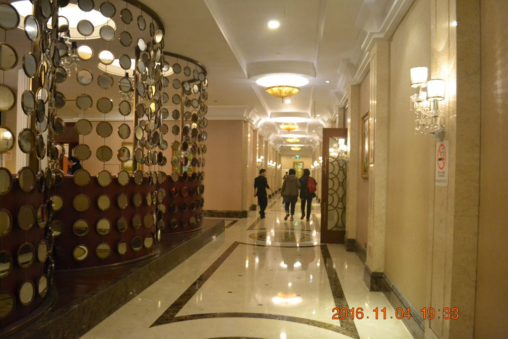 DSC_0272 DSC_0272