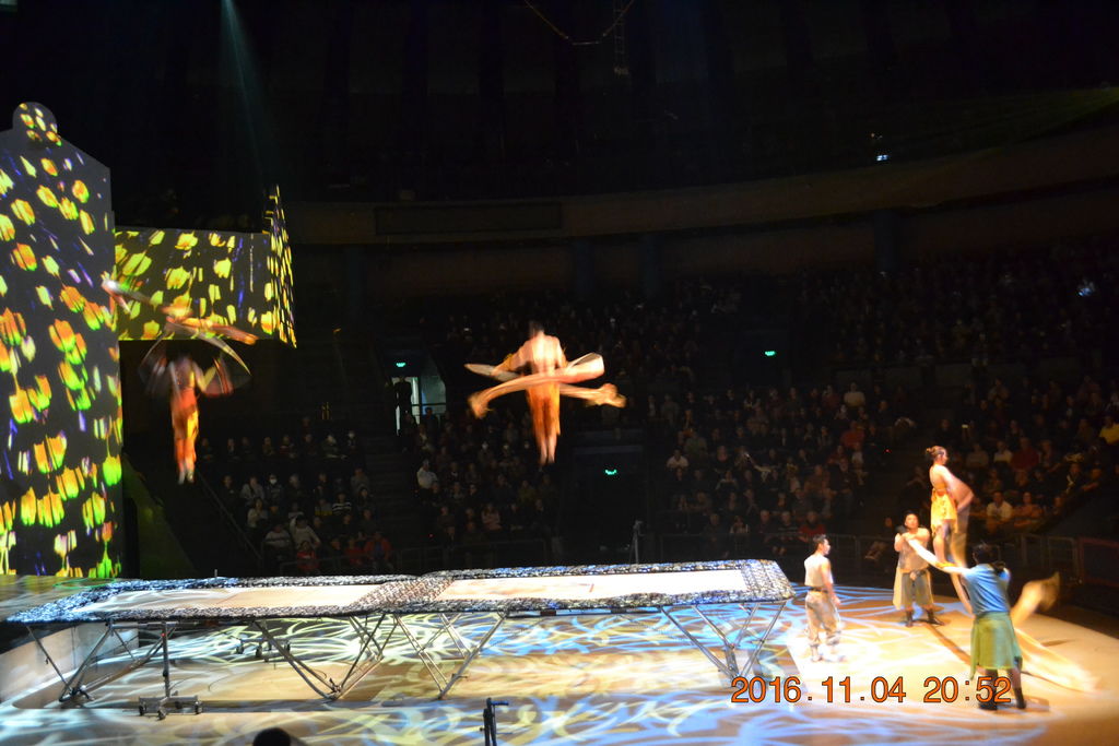 DSC_0290 DSC_0290