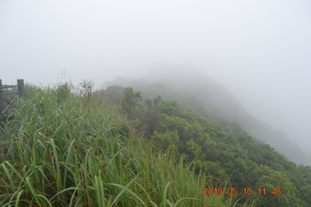 DSC_0198 DSC_0198