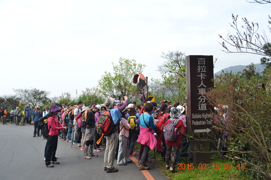DSC_0007 DSC_0007