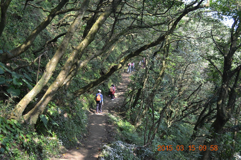 DSC_0042 DSC_0042