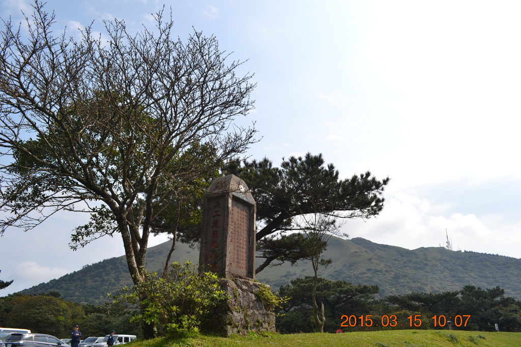 DSC_0049 DSC_0049