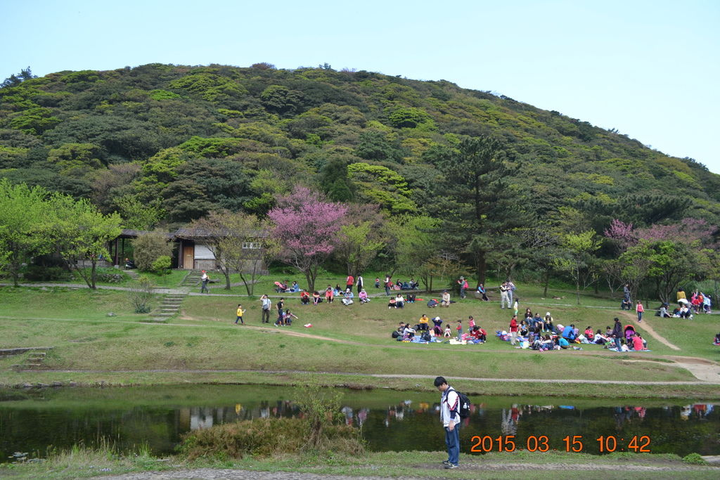 DSC_0072 DSC_0072