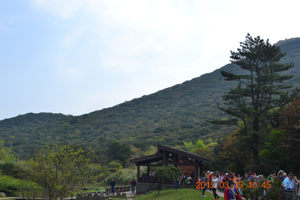 DSC_0075 DSC_0075