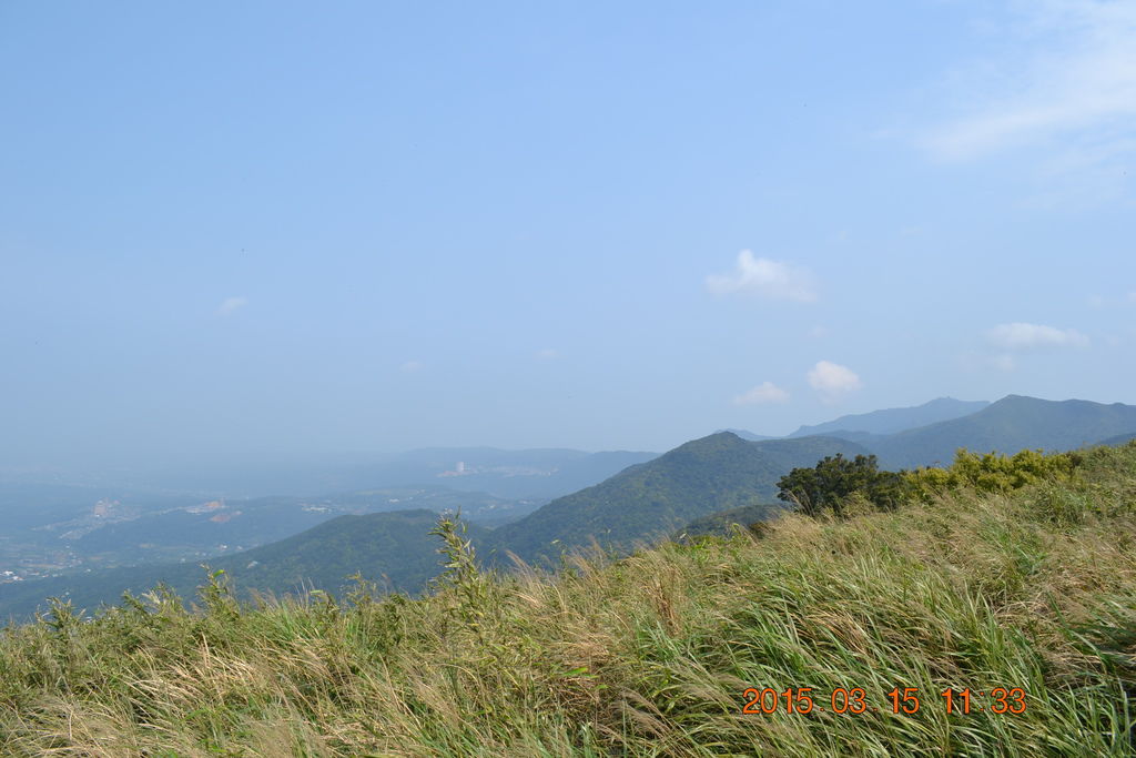 DSC_0099 DSC_0099
