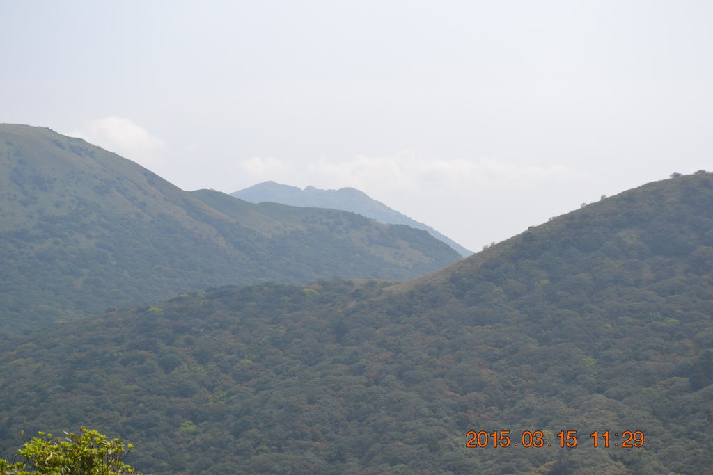 DSC_0094 DSC_0094