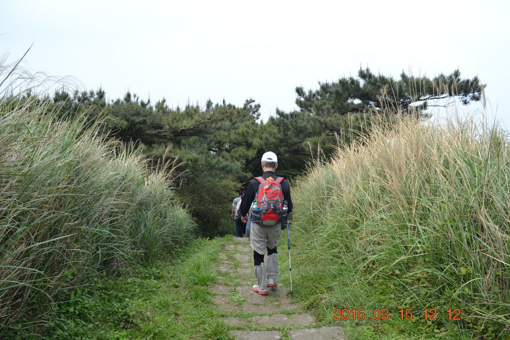 DSC_0125 DSC_0125
