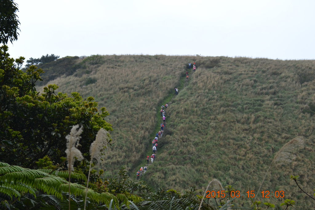 DSC_0112 DSC_0112