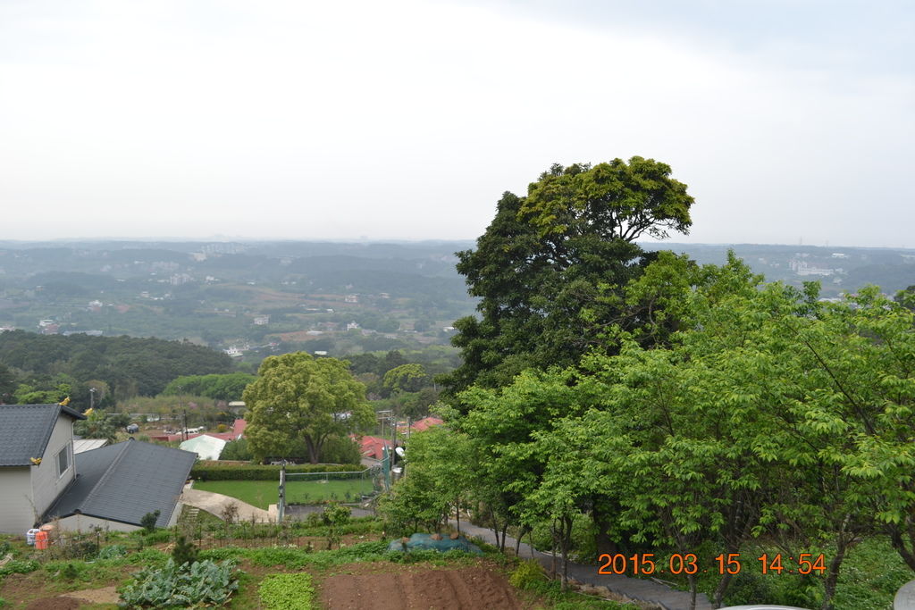 DSC_0155 DSC_0155