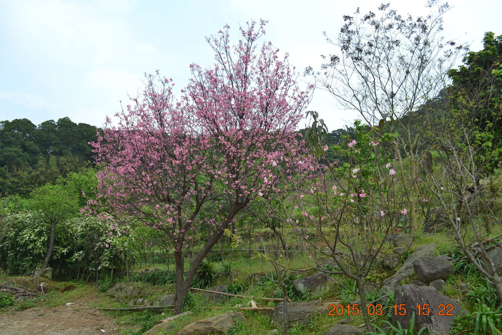 DSC_0170 DSC_0170