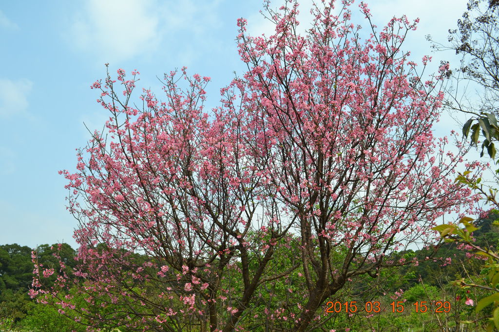 DSC_0192 DSC_0192