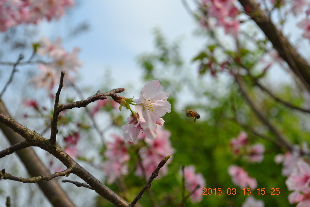 DSC_0180 DSC_0180