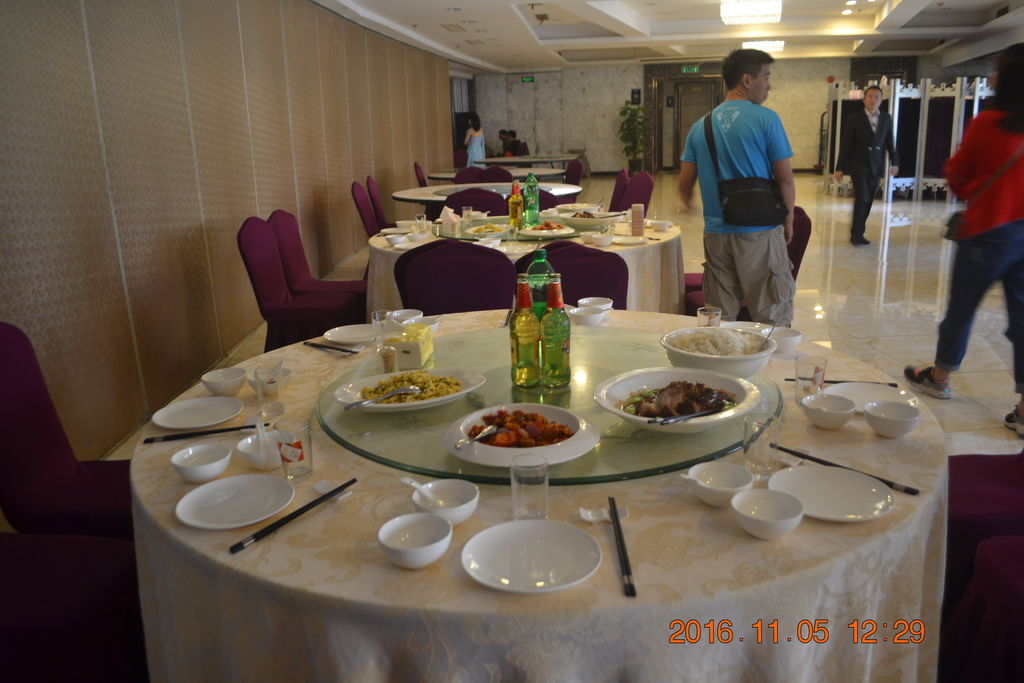 DSC_0480 DSC_0480