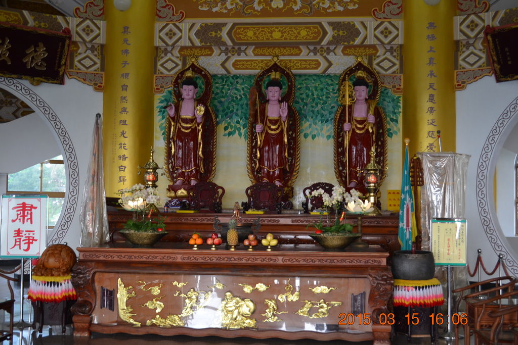 DSC_0263 DSC_0263