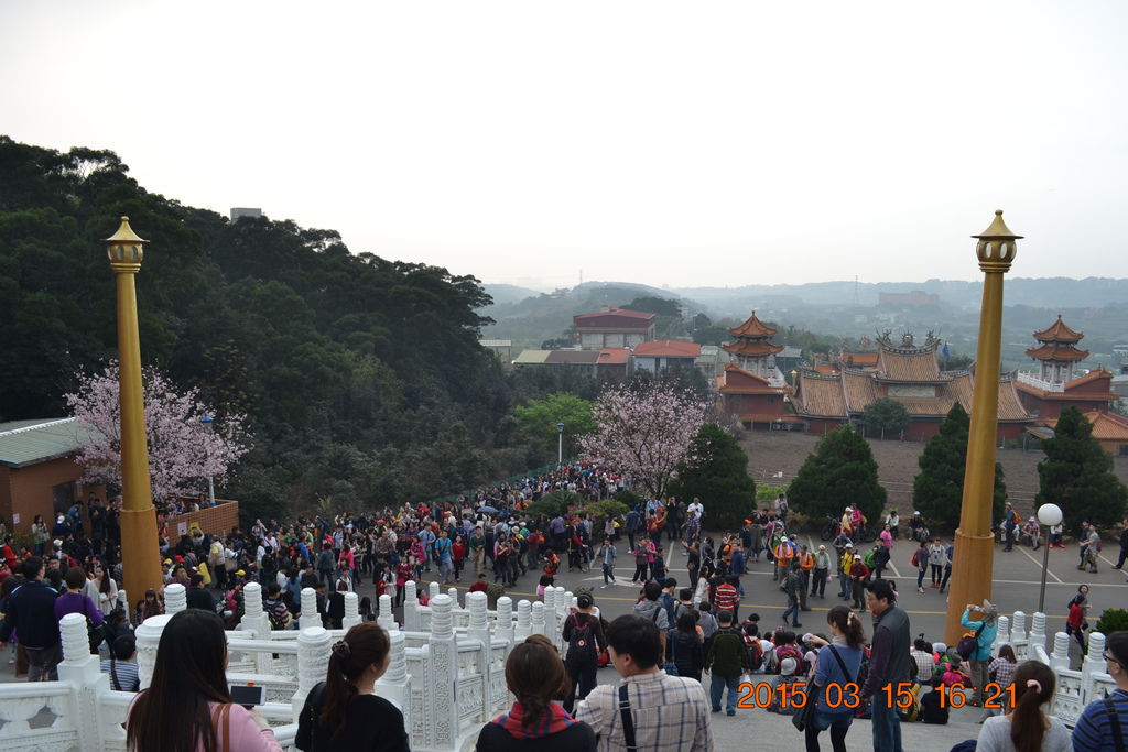 DSC_0286 DSC_0286