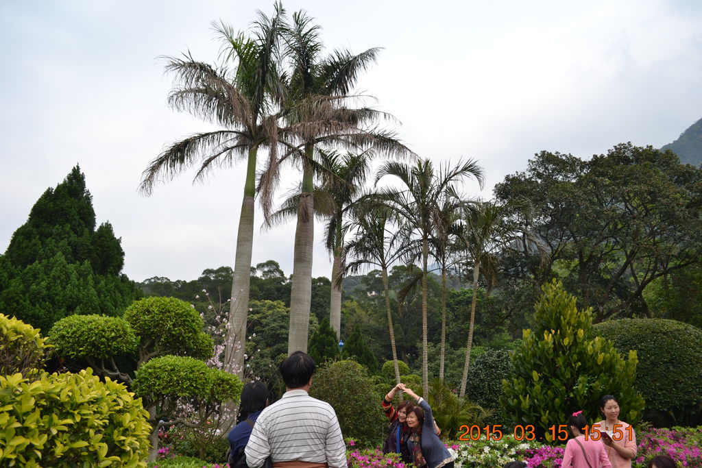 DSC_0218 DSC_0218