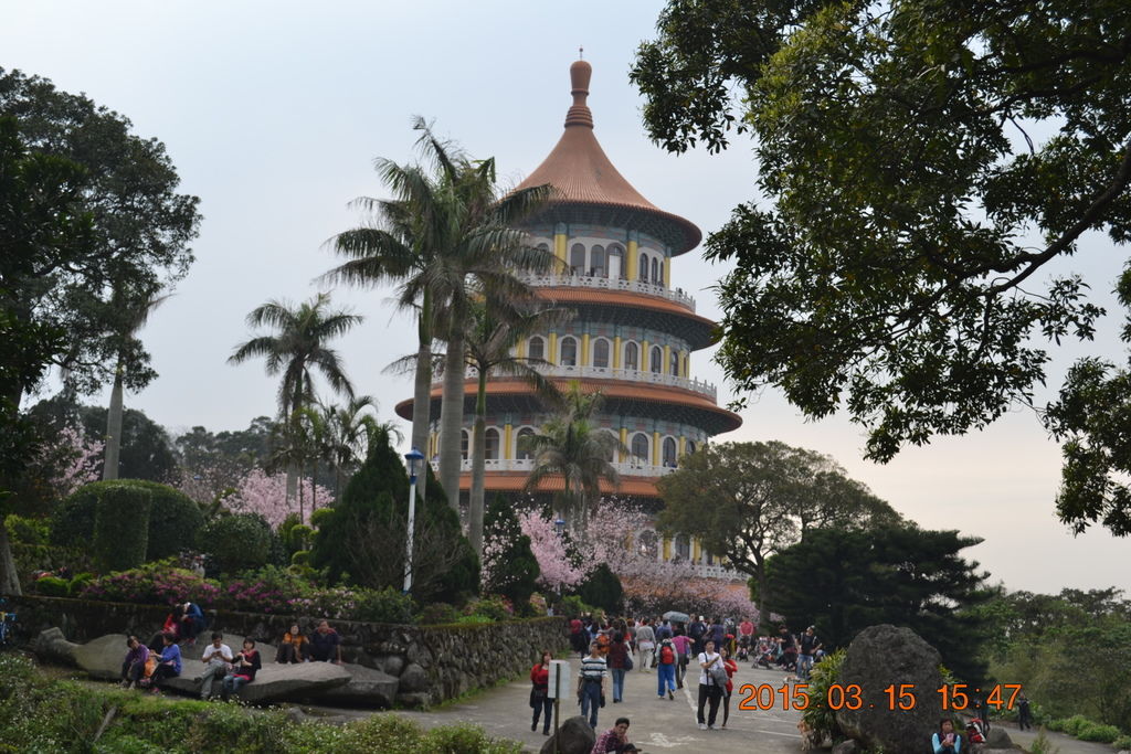 DSC_0205 DSC_0205