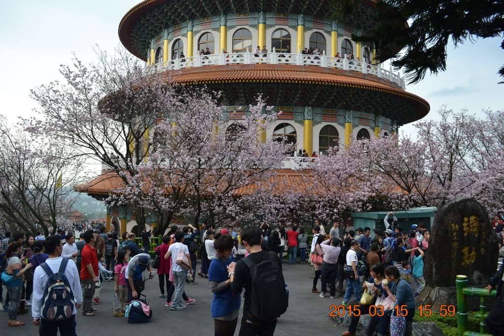 DSC_0239 DSC_0239