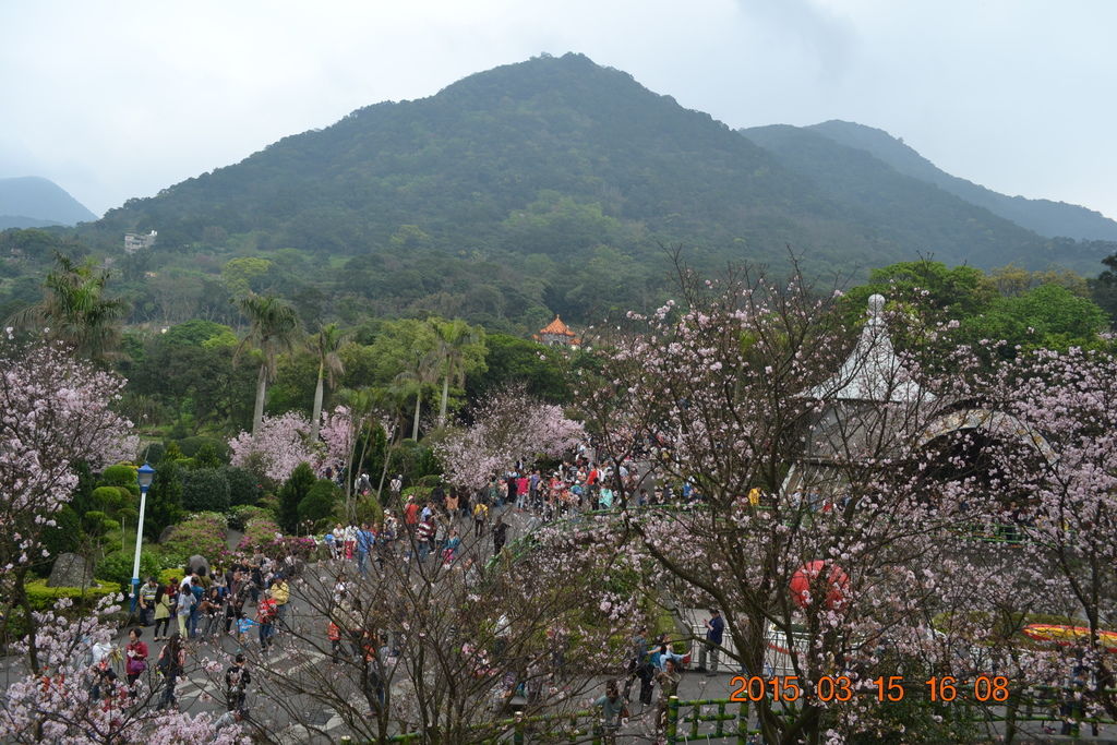 DSC_0270 DSC_0270
