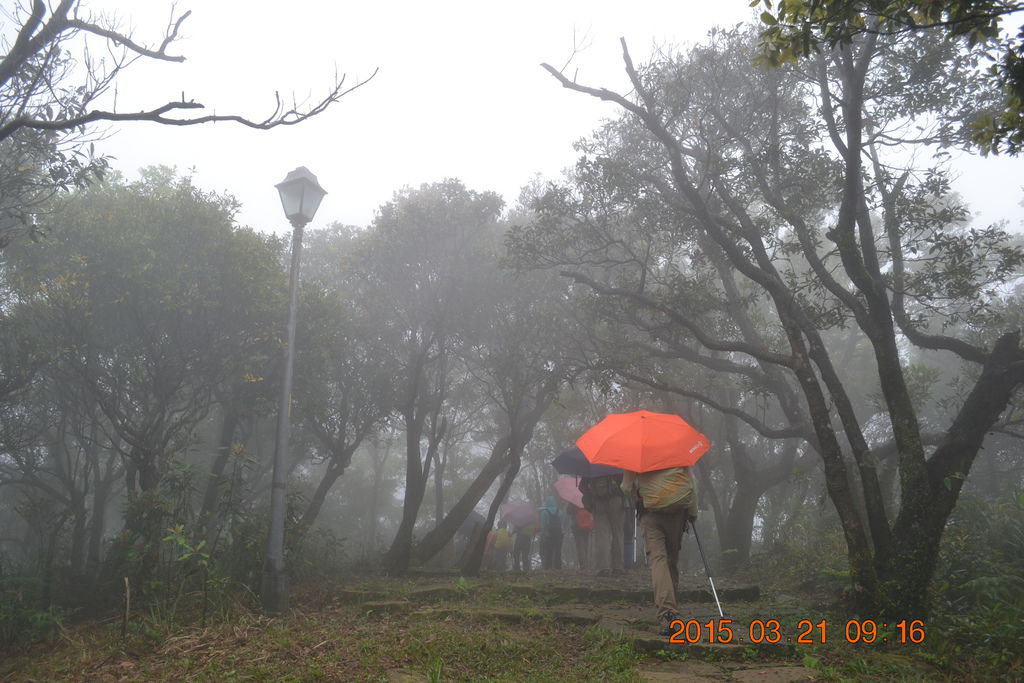 DSC_0031 DSC_0031