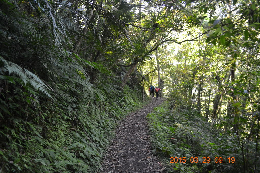 DSC_0119 DSC_0119