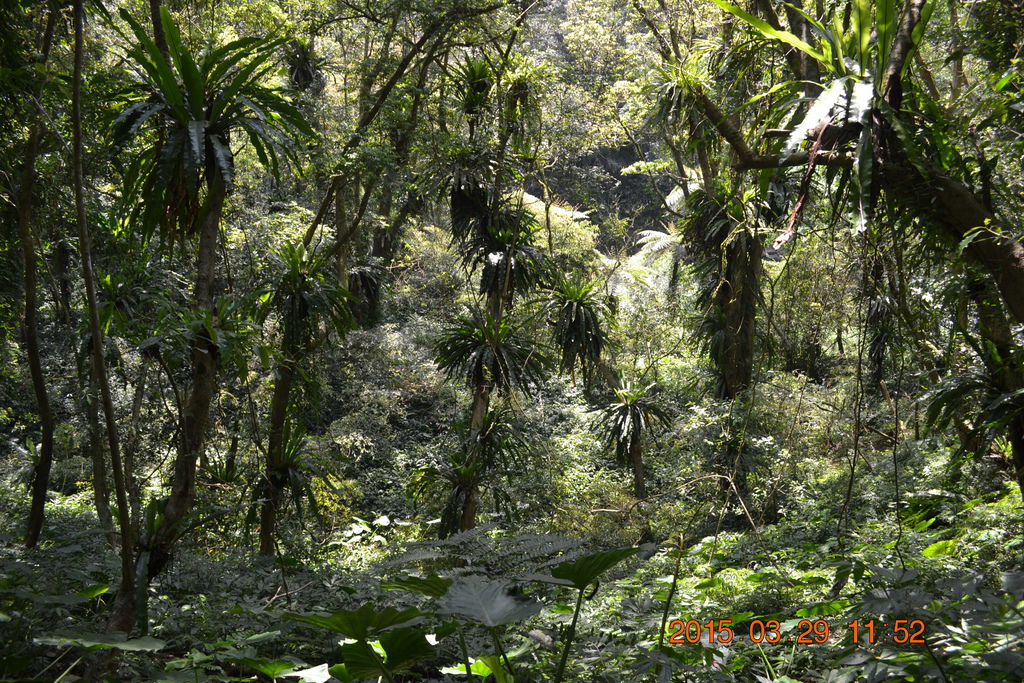 DSC_0185 DSC_0185