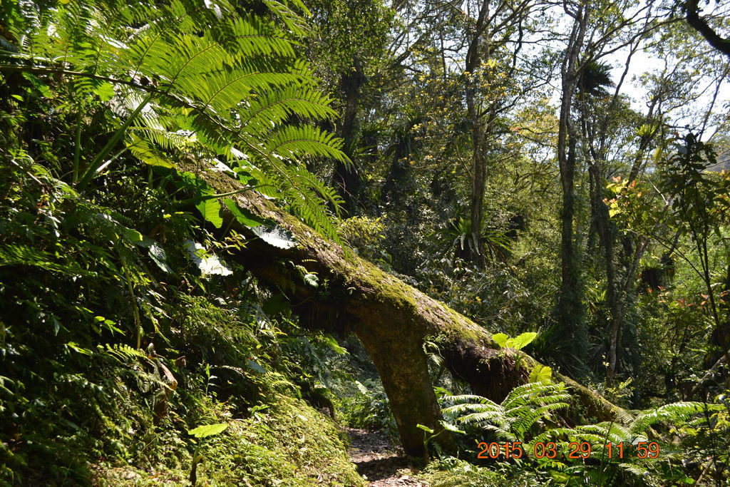 DSC_0188 DSC_0188