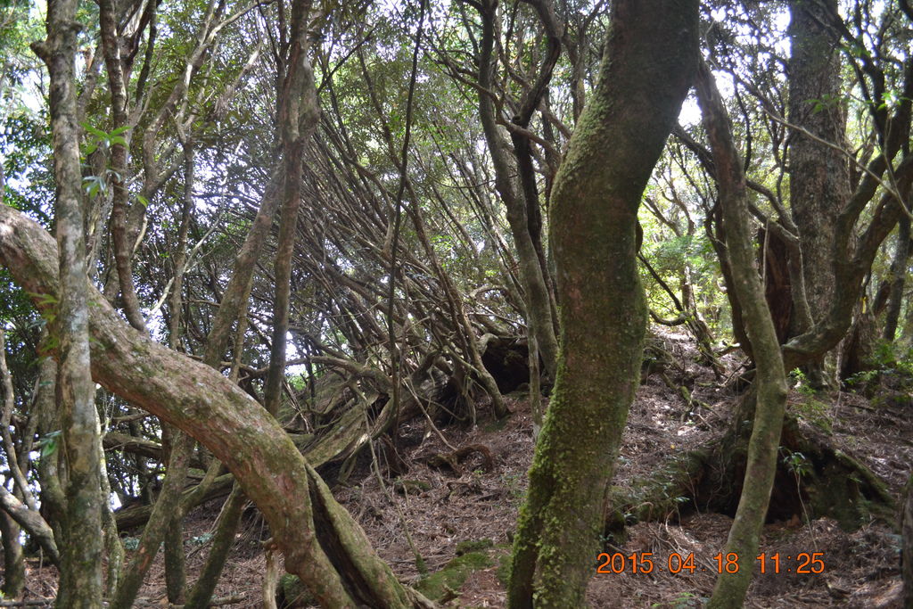 DSC_0078 DSC_0078