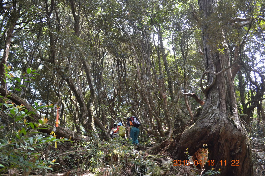 DSC_0075 DSC_0075