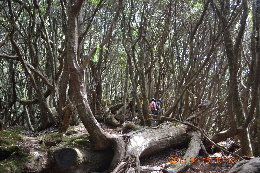 DSC_0051 DSC_0051
