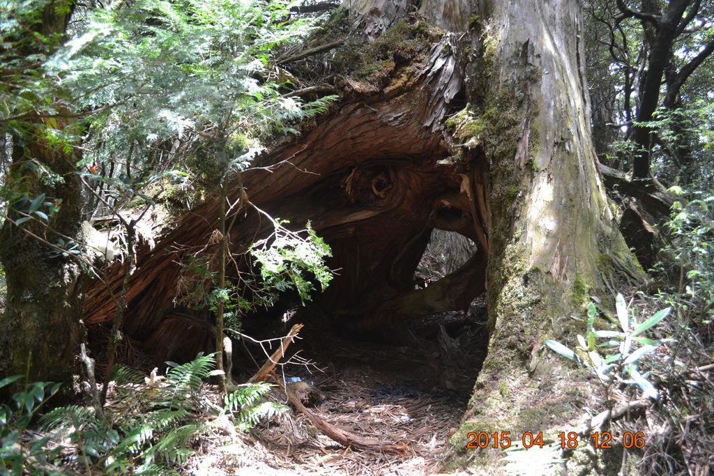 DSC_0102 DSC_0102
