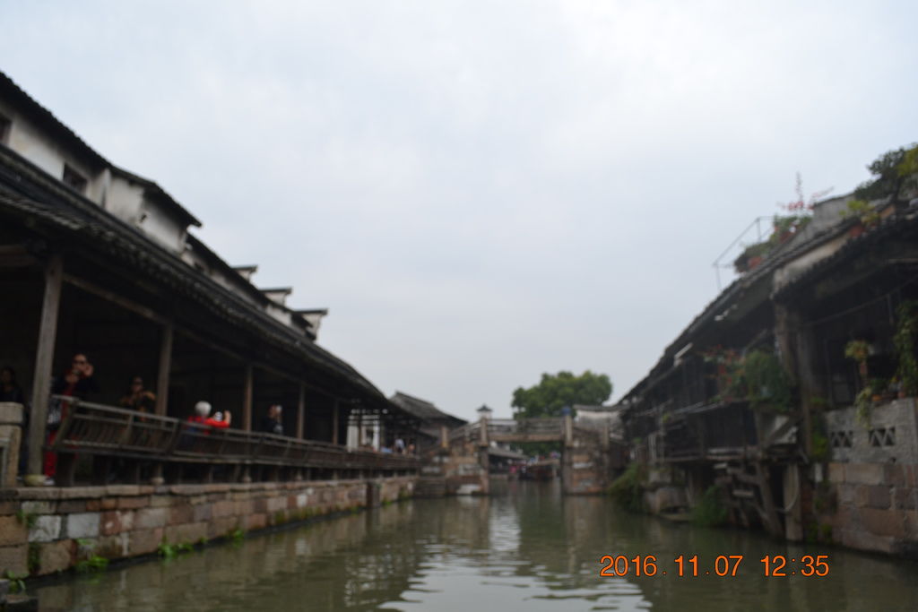 DSC_0123 DSC_0123