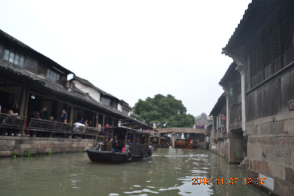 DSC_0126 DSC_0126
