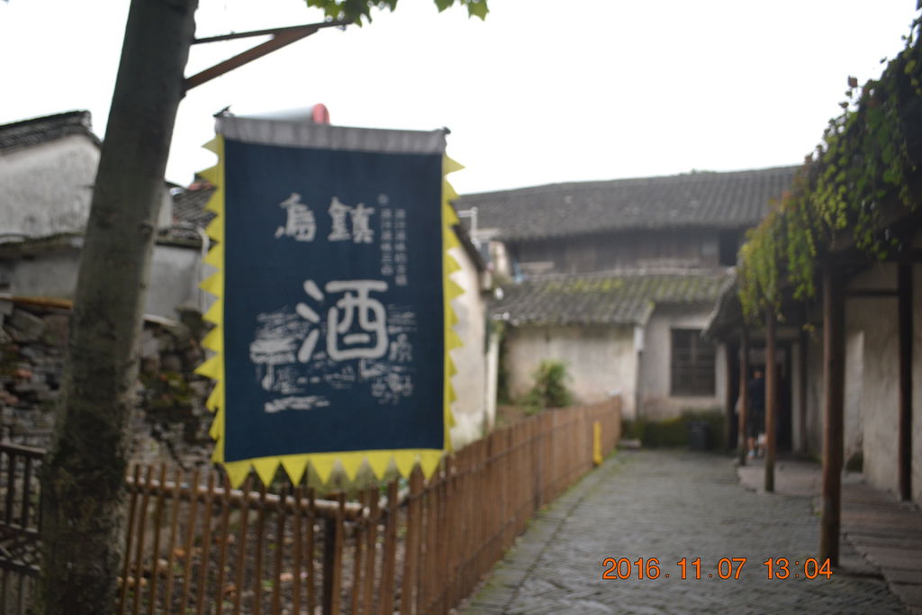 DSC_0173 DSC_0173