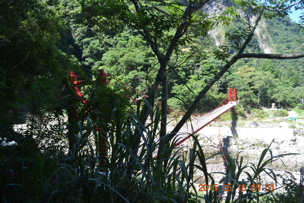 DSC_0021 DSC_0021