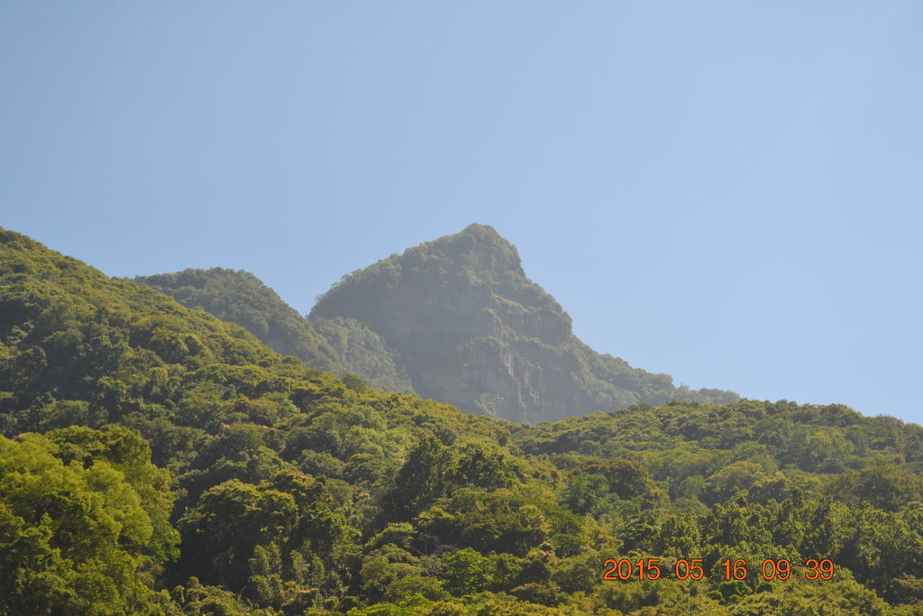 DSC_0007 DSC_0007