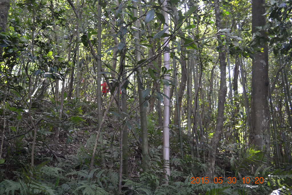 DSC_0020 DSC_0020
