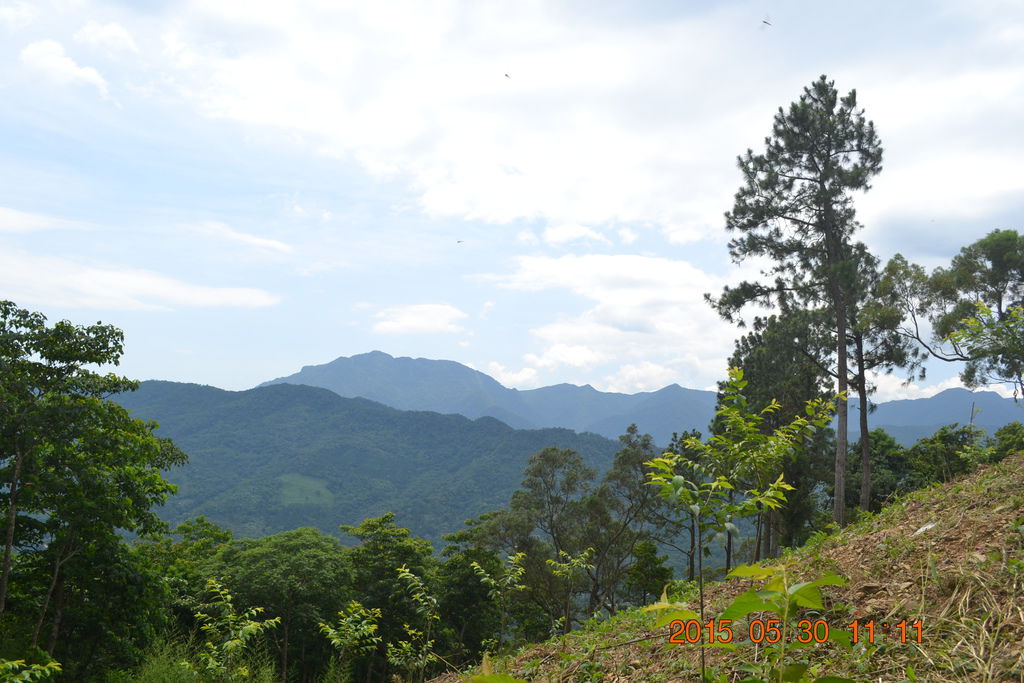 DSC_0049 DSC_0049