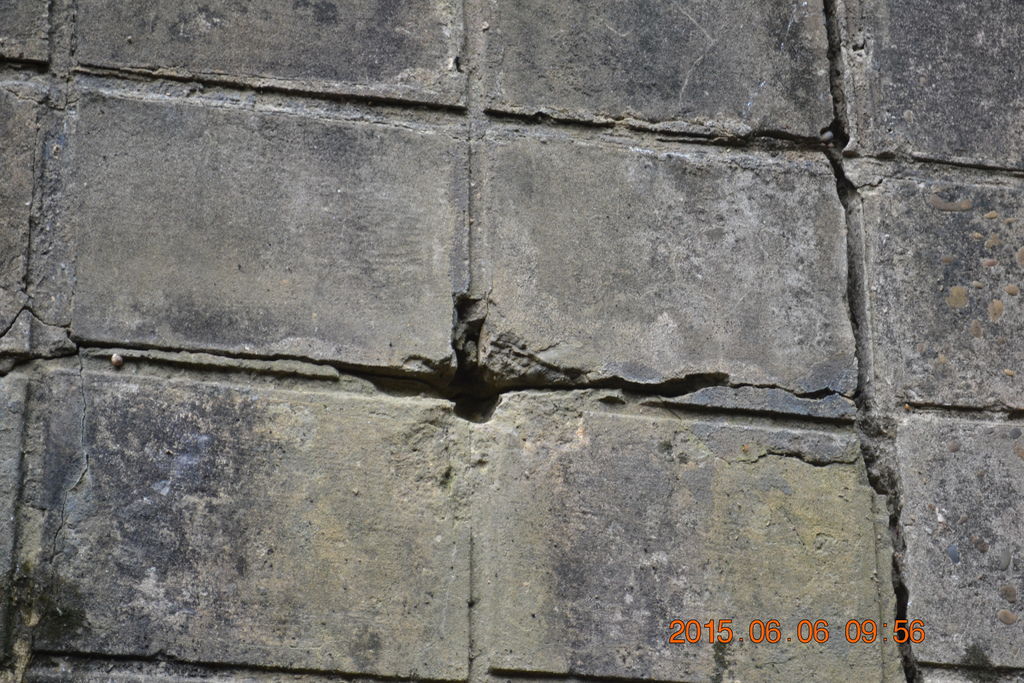 DSC_0042 DSC_0042