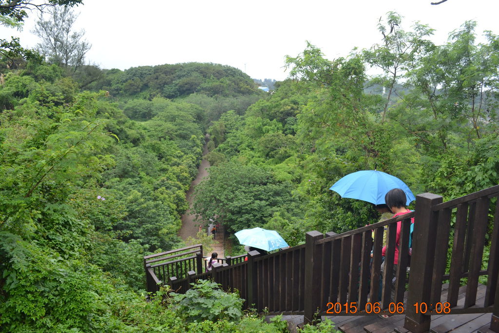 DSC_0062 DSC_0062