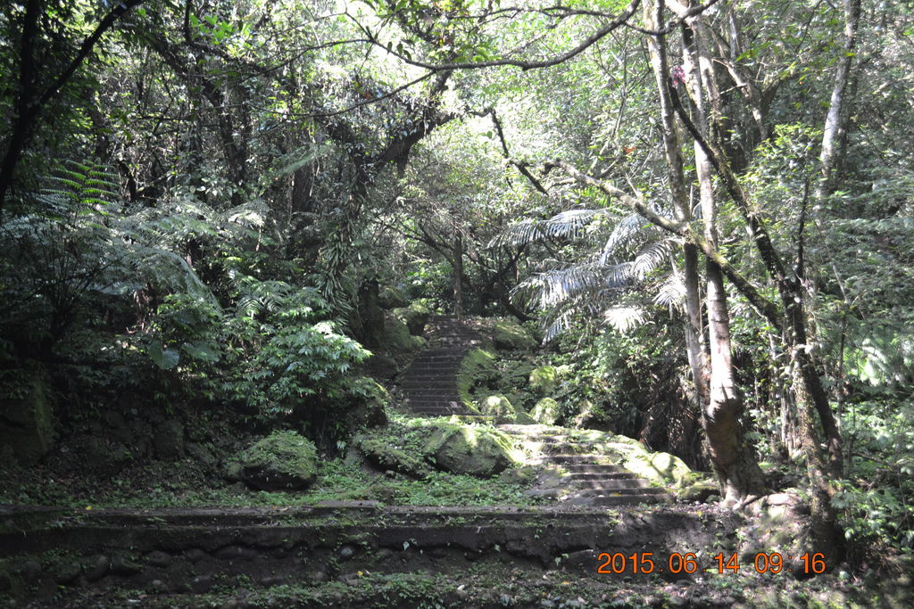 DSC_0016 DSC_0016