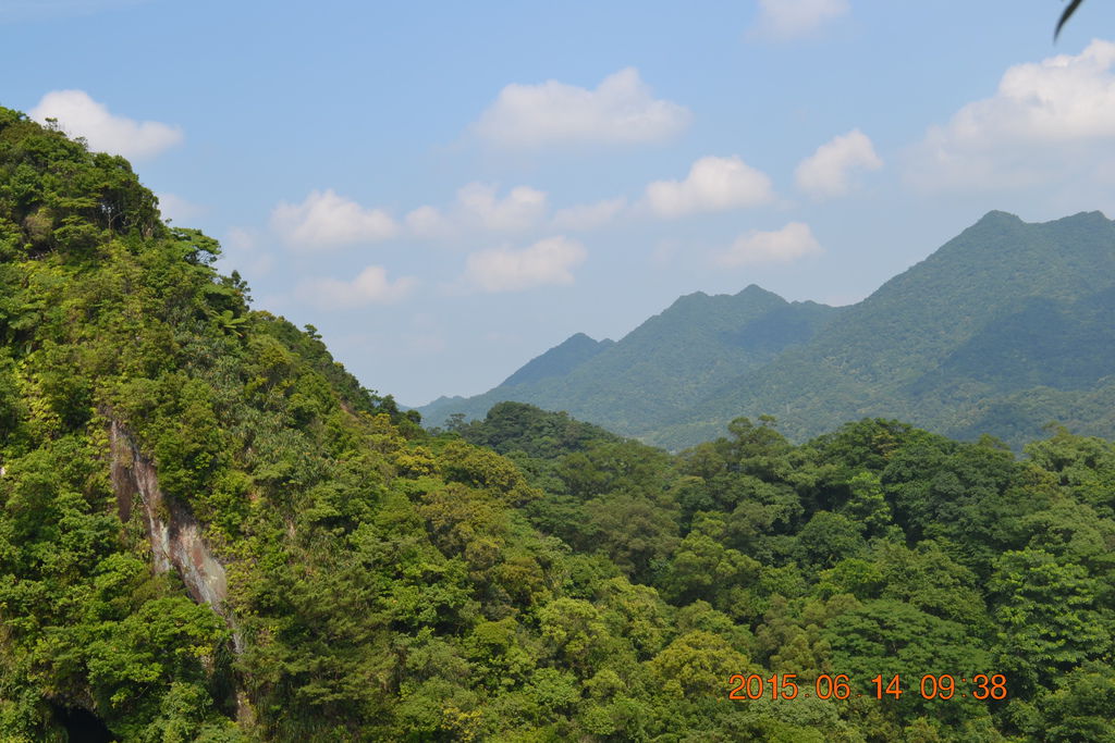 DSC_0038 DSC_0038