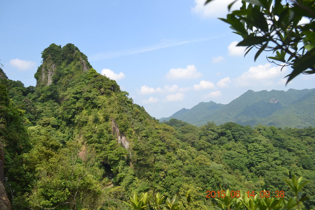 DSC_0041 DSC_0041