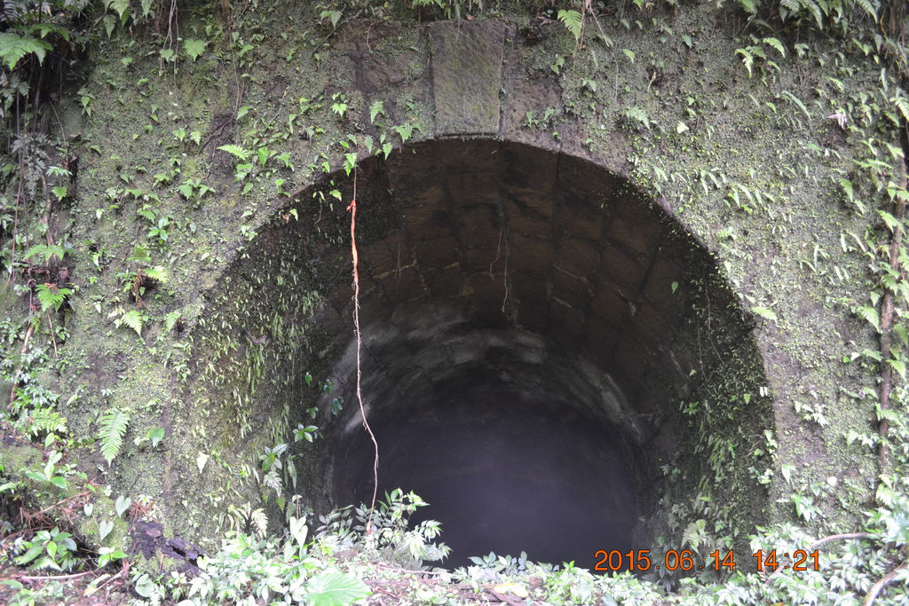 DSC_0156 DSC_0156