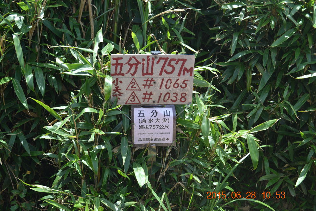 DSC_0058 DSC_0058