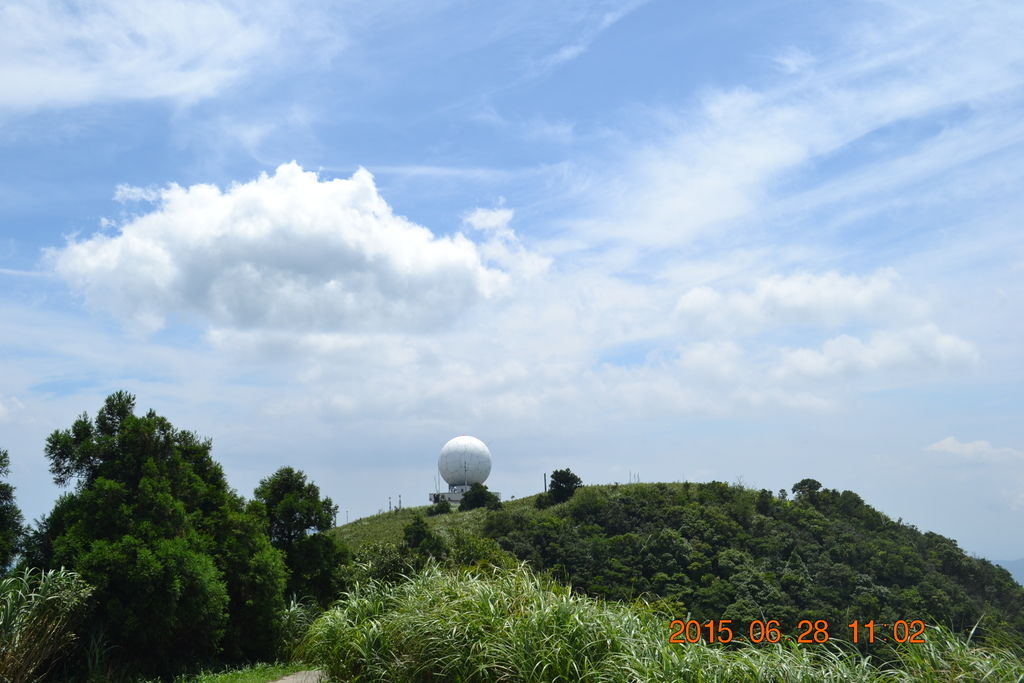 DSC_0067 DSC_0067