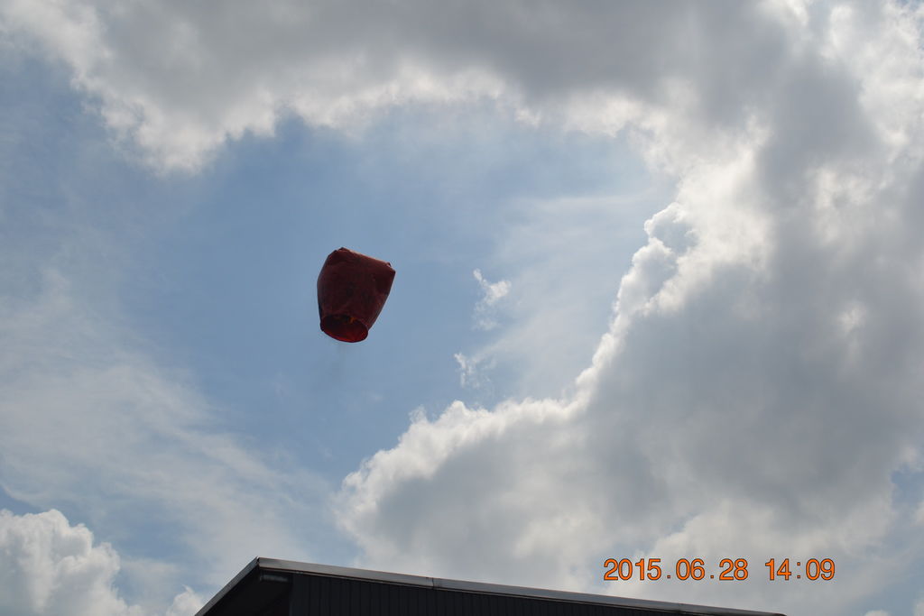 DSC_0175 DSC_0175